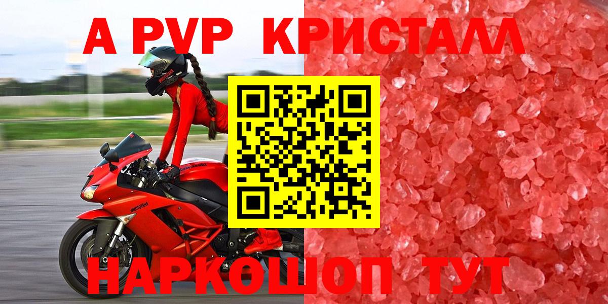 Альфа ПВП СК  Вход с VPN  Альфа ПВП  APVP VHQ  Грозный 