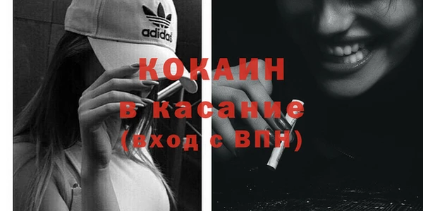 индика Алзамай