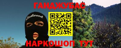 мдпв Кингисепп