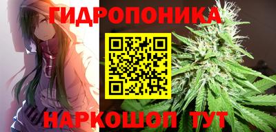 ПСИЛОЦИБИНОВЫЕ ГРИБЫ Кинель