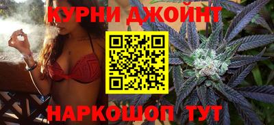 мдпв Кингисепп