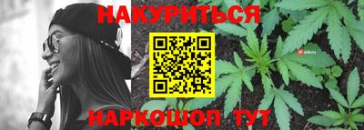 мдпв Кингисепп