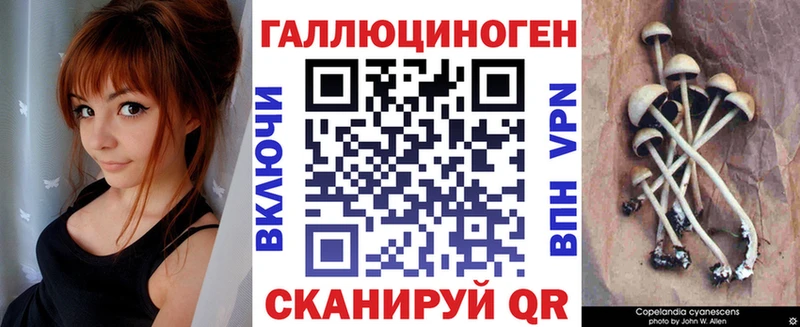 Галлюциногенные грибы мицелий  Грозный 