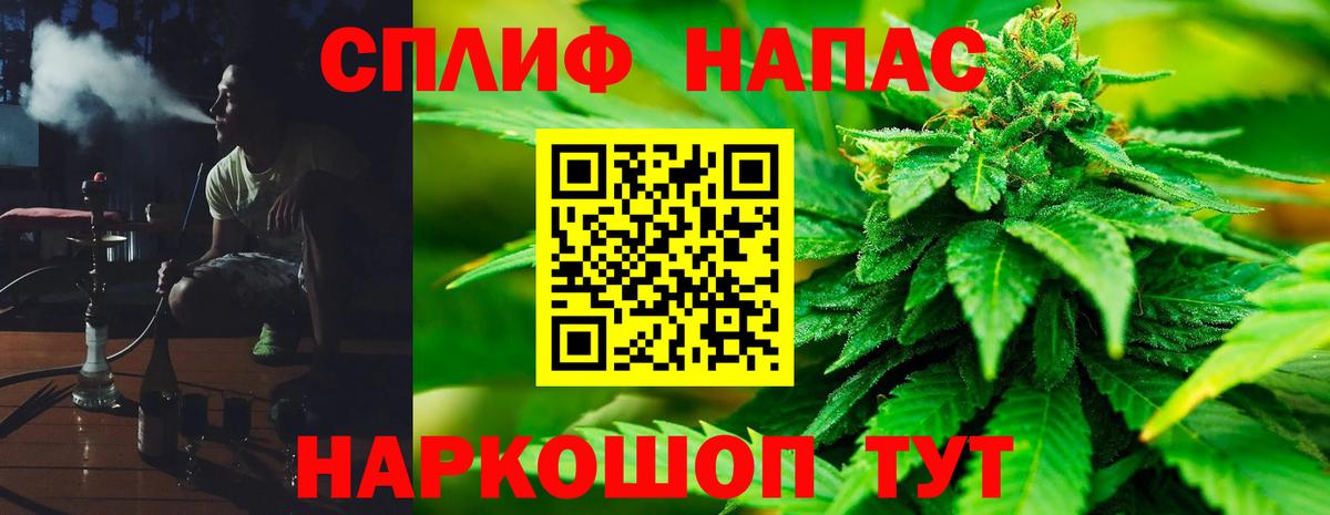 Каннабис планчик Грозный